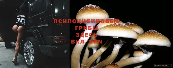 apvp Алексеевка