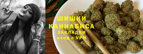 ПСИЛОЦИБИНОВЫЕ ГРИБЫ Алзамай